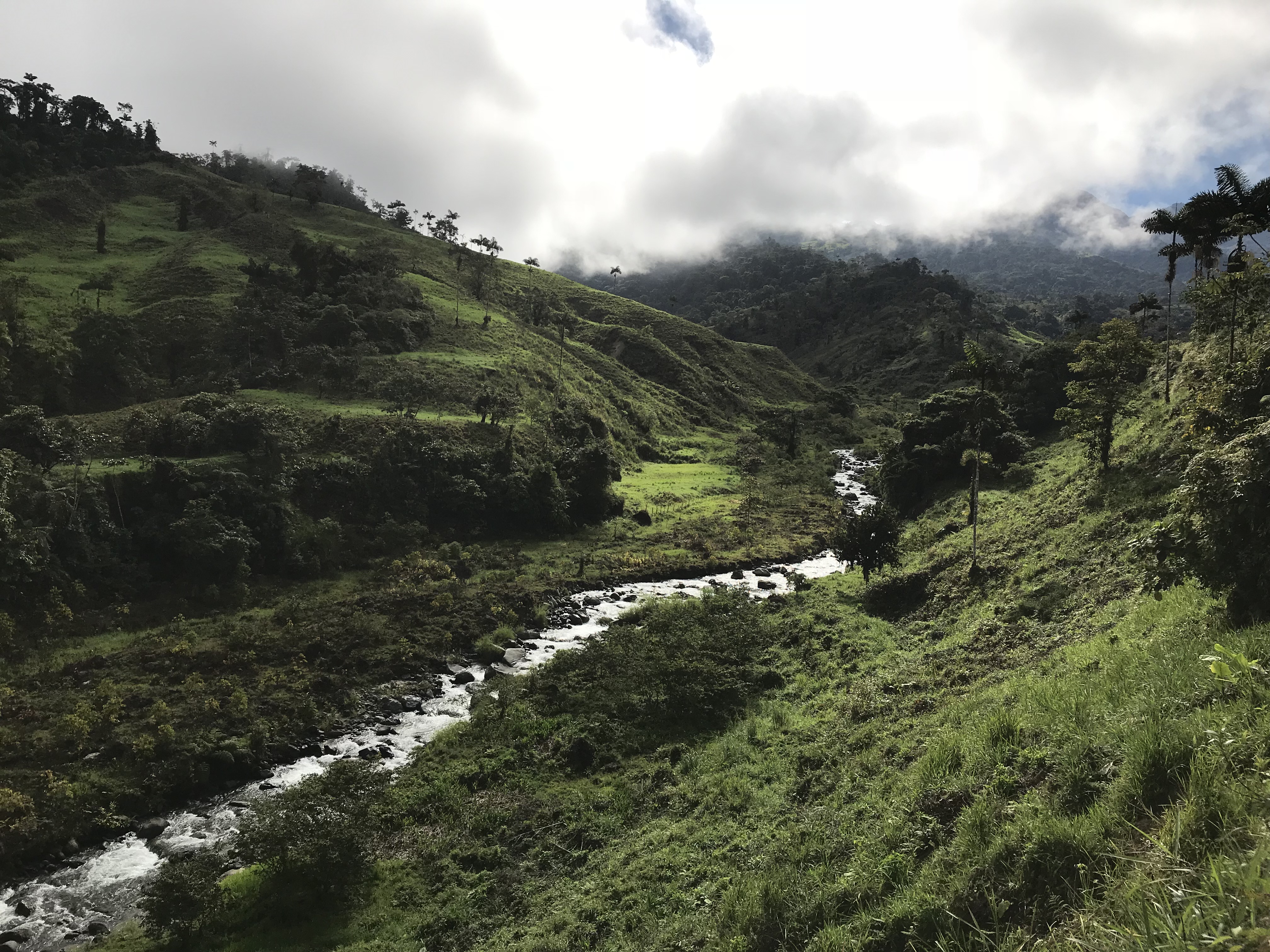 Image of Balao River Ecuador