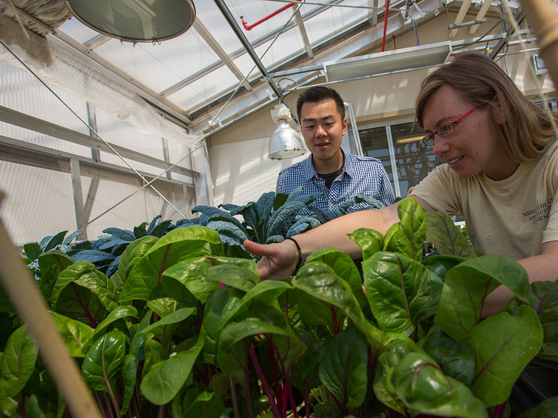 Environmental Science and Studies at DePaul University Environmental Science and Studies at DePaul University