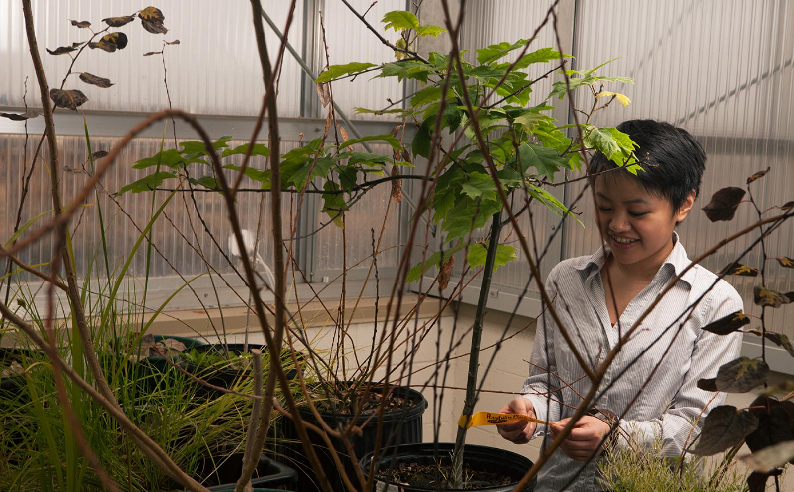 CSH Environmental Science and Studies CSH Environmental Science and Studies